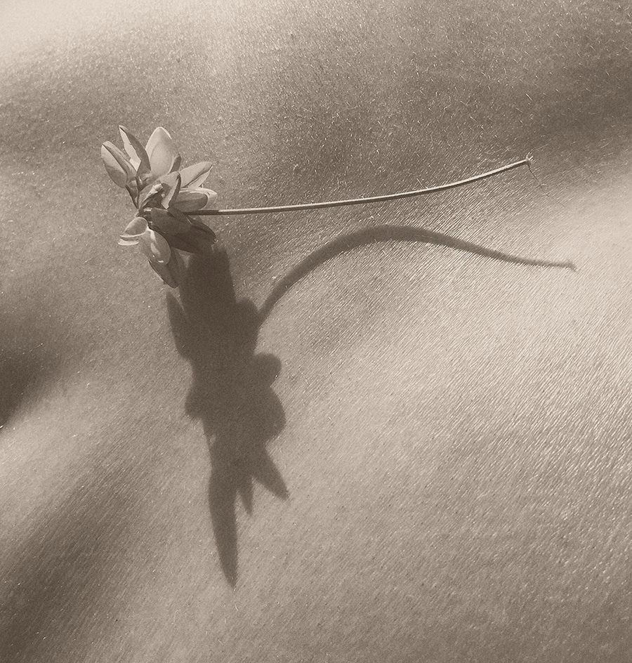 Allergologie – Diagnostik und Behandlung in Sprockhövel